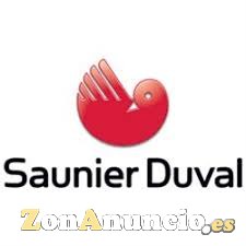 Saunier Duval Valencia Servicio Tecnico Oficial